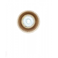 SPOT 1078 ORO w2.jpg