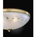 PL 4650-2 b_part.jpg