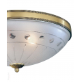 PL 4650-4 w_part.jpg