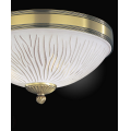 PL 5650-2 bp.jpg