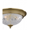 PL 6202-3 wp.jpg