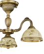 PL 6228-3 wp.jpg